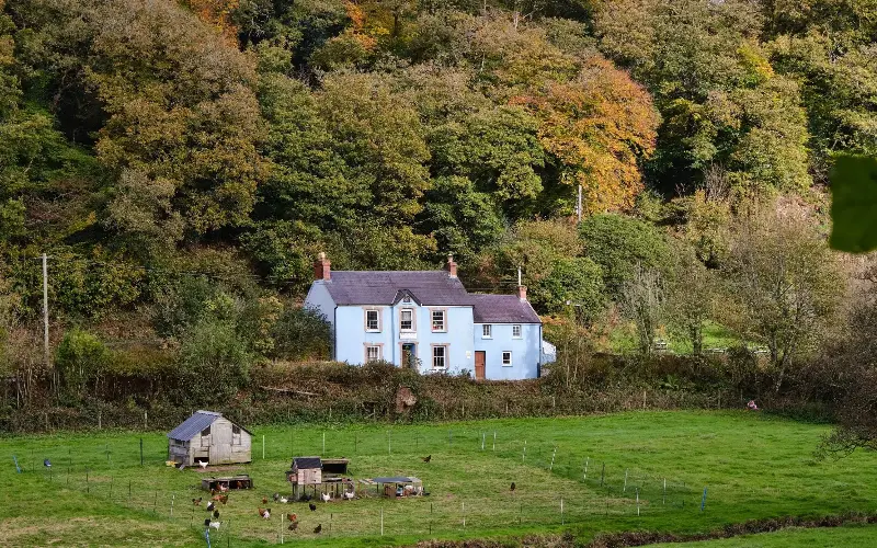 ‘A timeless part of history’: W Mahy hailed Pembrokeshire’s one-of-a-kind pub, the Dyffryn Arms - Countrywide Images/ Alamy