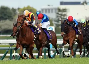 スターアニス、強烈な末脚＝重圧はねのけた松山―競馬桜花賞