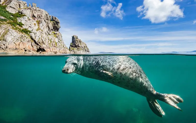 The national parks of the sea provide excellent opportunities to get close to marine life - Alamy