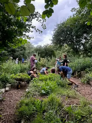 Garden angels: The green-fingered communities turning neglected spaces into urban oases