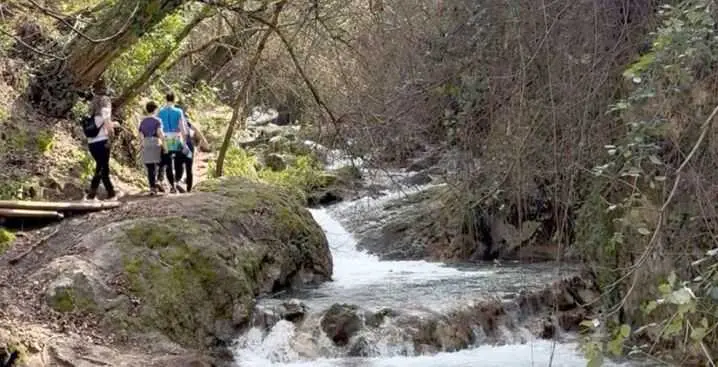 TurJaén exige rectificar al alcalde de Sevilla por "menospreciar" a la provincia para defender la tasa turística