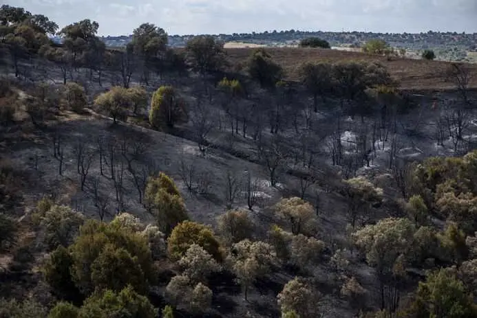 El Plan de Restauración de la Sierra Oeste será a 10 años vista, con especies autóctonas y gestión de montes privados