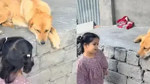 'Doggie, aapko biscuit chaiye?': Little girl’s adorable chat with dog melts hearts online