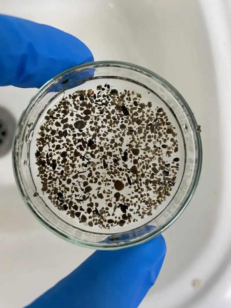 Biomasa granular formada en la EDAR de Moaña