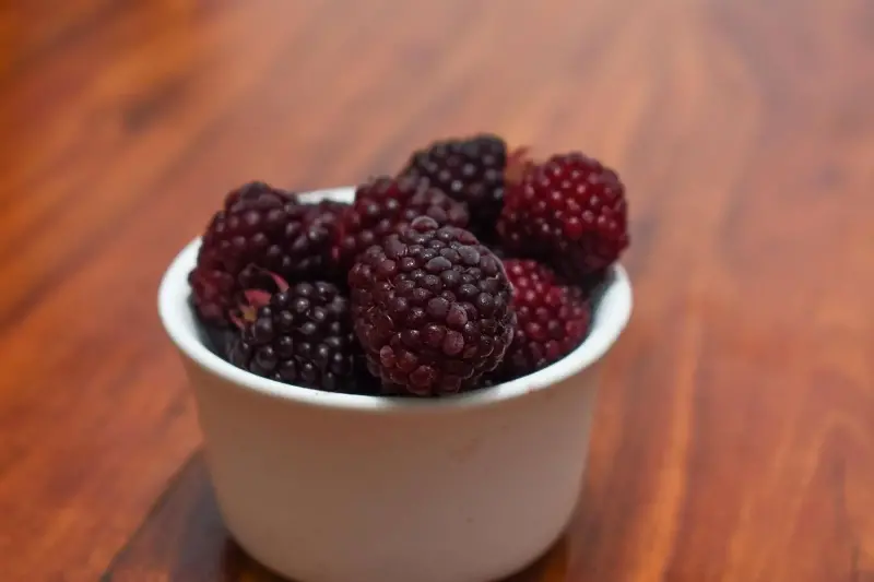 Moras, fibra y antioxidantes: el cóctel natural que tu cuerpo necesita
