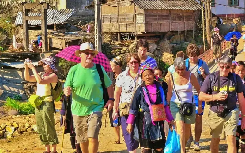 Du khách quốc tế trải nghiệm tour trekking Sa Pa với một hướng dẫn viên nữ địa phương.