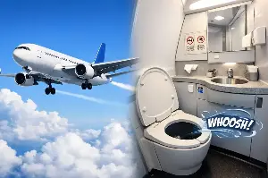 Discover how airplane toilets work.