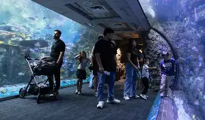 California aquarium takes in at least 500 animals rescued from wildlife traffickers
