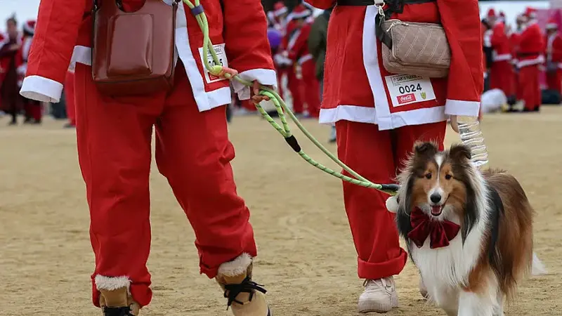 Two people and a dog dressed in holiday gear