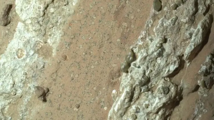 saooo-2.jpg