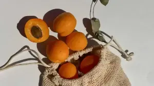 The Story Of Apricot Kernels In Himalayan Diets