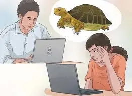 A media campaign to protect turtles.