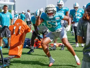 Omar Kelly: Dolphins players on the fringe are running out of time