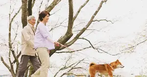Older adults who took a weekly fifteen-minute walk for eight weeks felt measurably better, but the difference came down to one instruction: those told to seek out small moments of awe reported more gratitude and compassion and less daily distress
