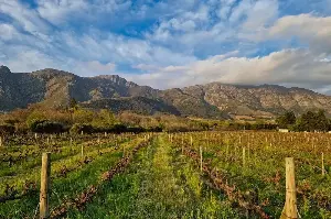 The trip that convinced me it’s worth flying to South Africa for winter sun