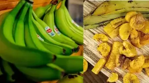 Raw Banana Versatile Than You Think: 5 Regional Recipes To Try