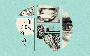 The number of times you should brush your teeth per day to ward off dementia