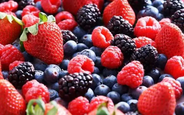 Las borrascas condicionan la campaña de los frutos rojos y reducen producción y exportaciones