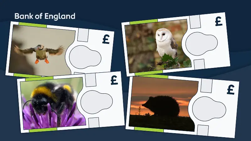 The new bank of England notes have been revealed (Bank of England/PA Wire)