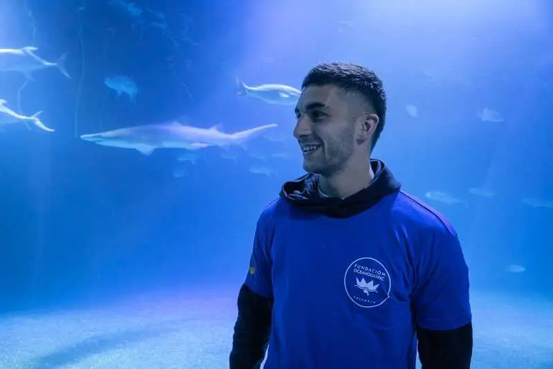 El Oceanogràfic de València pone el nombre de Ferran Torres a uno de sus tiburones grises