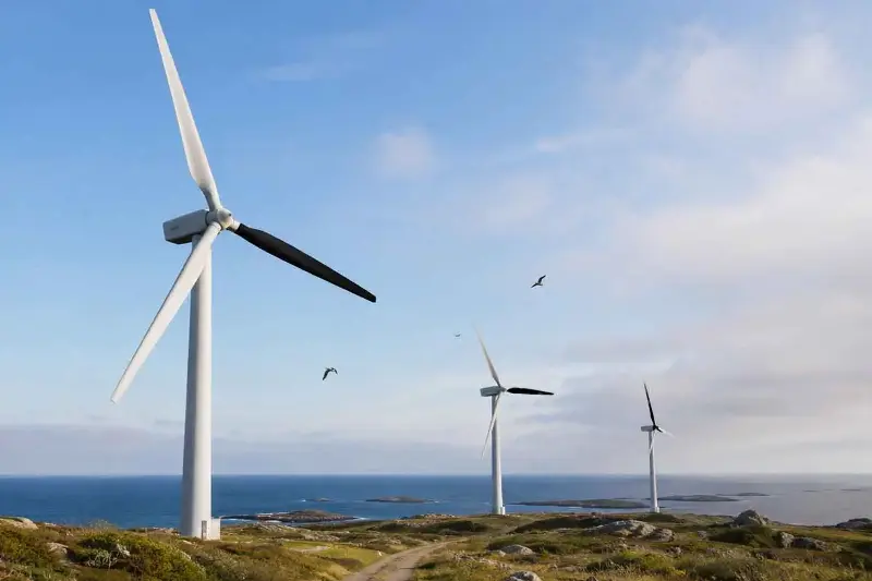 Turbine eoliche, dipingere una sola pala nera aiuta gli uccelli a evitare le collisioni, lo studio norvegese