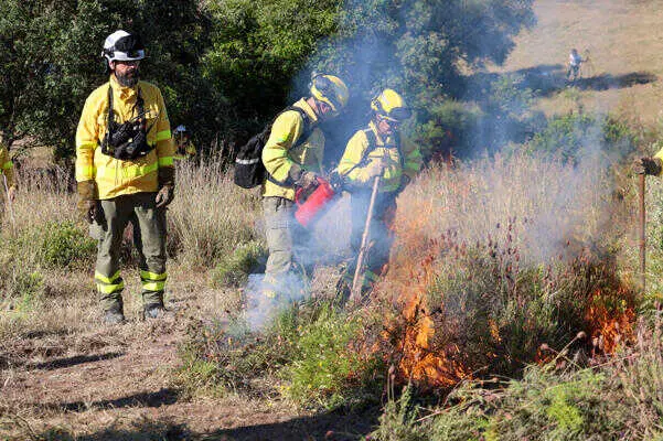 La Agencia de Emergencias de Andalucía realizará quemas controladas en Puente Genil y Palma del Río