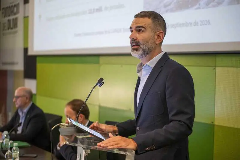El aforo estima una producción de 1.261.200 toneladas de aceite de oliva en Andalucía, con un aumento de casi el 24%