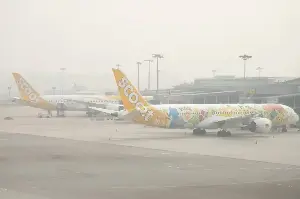 Indonesia haze disrupts over 2,600 flights since August