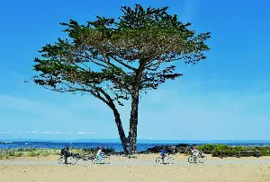 Family travel 5: Bike trips