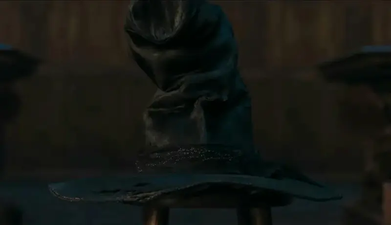 sombrero seleccionador