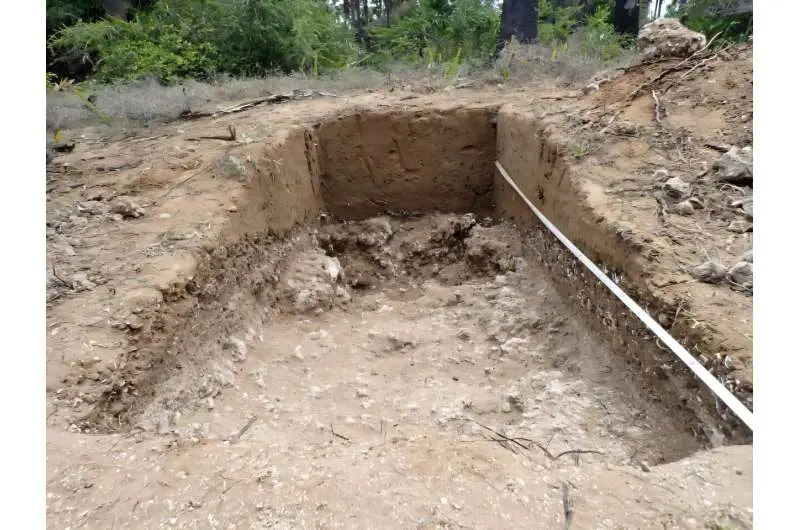 Earliest settlement of northern Sri Lanka found on Velanai, Jaffna