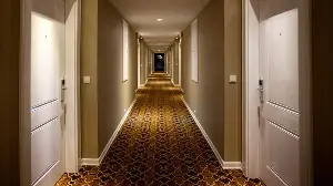 Why Are Hotel Carpets So Busy and Patterned?