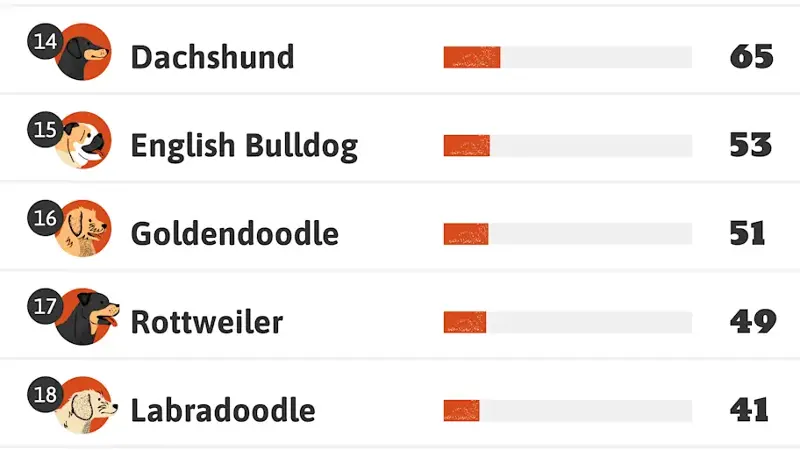 graphic showing 8-19 (a tie) of the most popular celebrity dog breeds