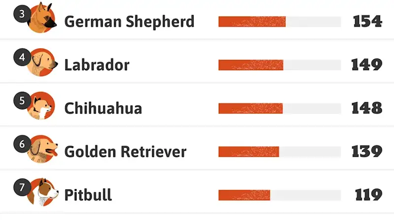 graphic showing the first 8 of the most popular celebrity dog breeds