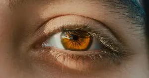 The human eye has a small blind spot where the optic nerve connects to the retina, and the only reason you don’t constantly see a hole in your visual field is that your brain is filling it in with educated guesses — meaning every moment of your visual experience is partly fabrication, and your conscious mind is the last to be informed.