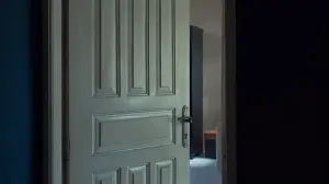 Everyday explained: Why your door has that little metal plate