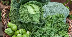 Can cruciferous vegetables be used to extract toxic metals from the soil?