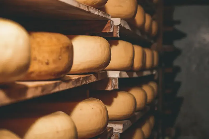 cheese wheels aging shelves