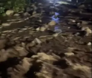Floods swept mud and rocks down the Da Mi pass, inundating homes in Lam Dong province.