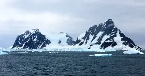 The first dinosaur bone ever discovered on the continent of Antarctica was confirmed last week, forty years after it was picked up on the Antarctic Peninsula in 1985 and stored in a museum drawer in Cambridge — a tail vertebra from a titanosaur, the group that included the largest animals ever to walk on land