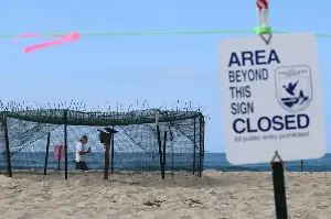 Sea turtle laying eggs at Huntington Beach is first known instance of nesting on West Coast