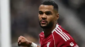Cody Gakpo's transfer possibilities