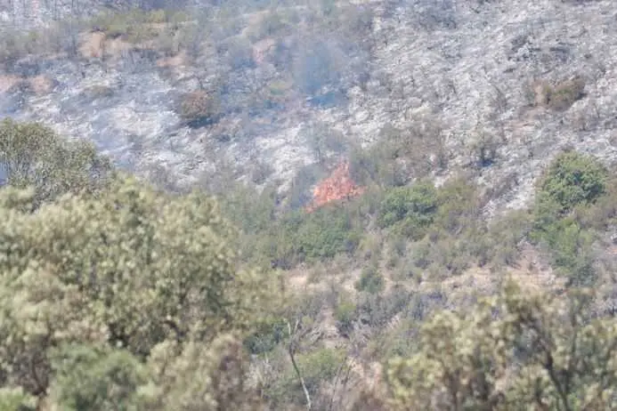 Andalucía pide medidas estatales urgentes para paliar el daño del fuego en el campo de Huelva