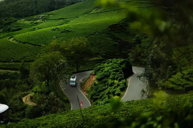 Nestled in Kerala, Wayanad features scenic hills, spice plantations, 6000-year-old Edakkal Caves, and more.