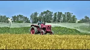 March heat could affect wheat crop: Experts