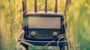 Spice of life: Tuning in to a shared frequency with Gen Z