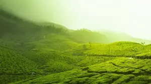 From Ooty to Singapore: 5 cool destinations you can head to this summer vacation