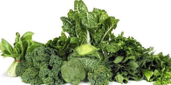 thực phẩm rau lá xanh