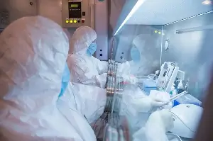 DOH sees very low plague risk