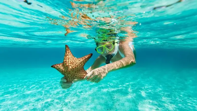woman with snorkel and mask holding a starfish
